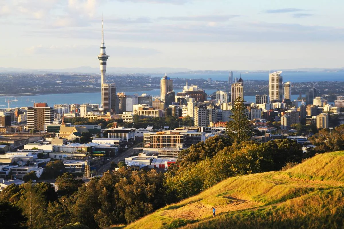 How Property Values in Mt Eden Have Evolved