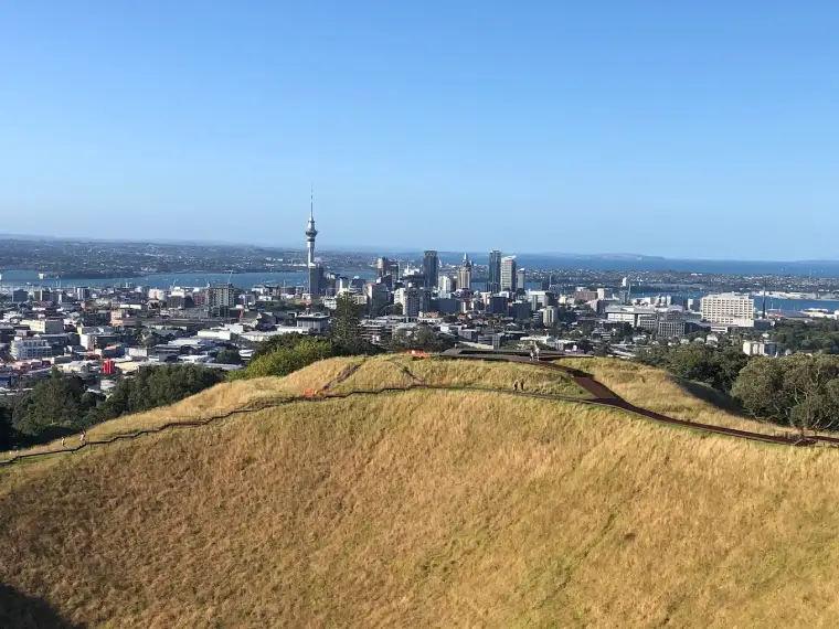 Why Mt Eden Remains One of Auckland's Most Sought-After Suburbs