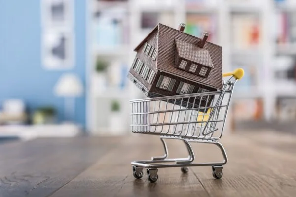 Auckland House Price Forecast